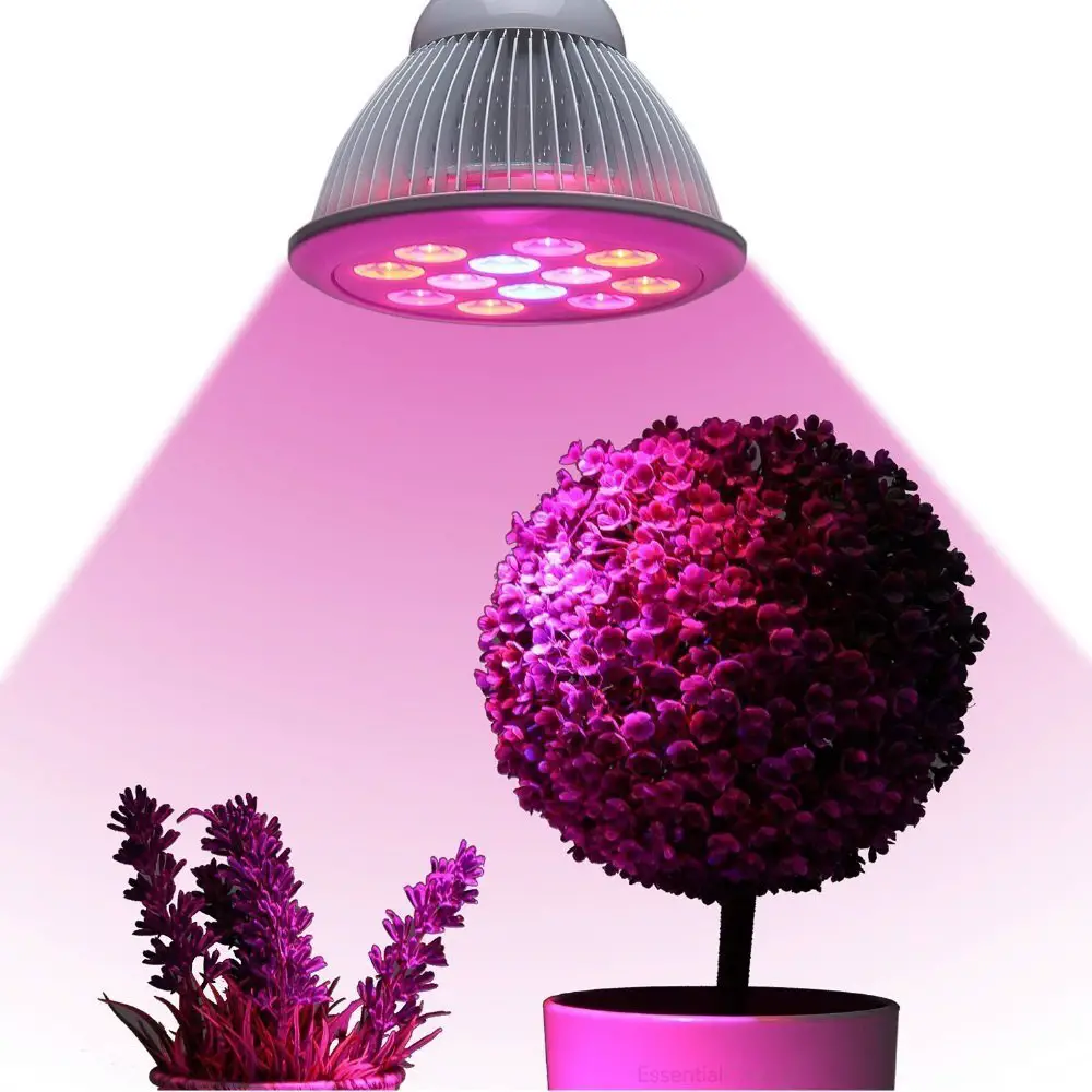 12 Best LED Grow Lights [ 2021 ] Marijuana Beginners