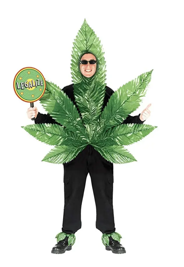 27 Best Weed Halloween Costumes [ 2021 ] Marijuana Beginners
