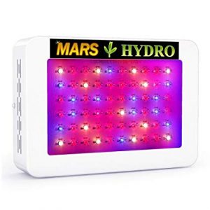 Mars Hydro 300W and Mars Hydro 600W