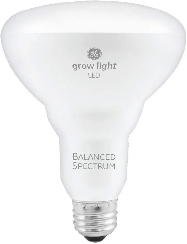 6 Best Grow Light in 2021 Marijuana Beginners