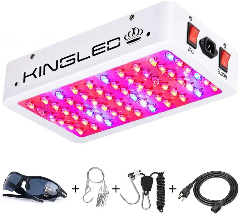 12 Best Light For Vegetative Growth in 2021 Marijuana Beginners