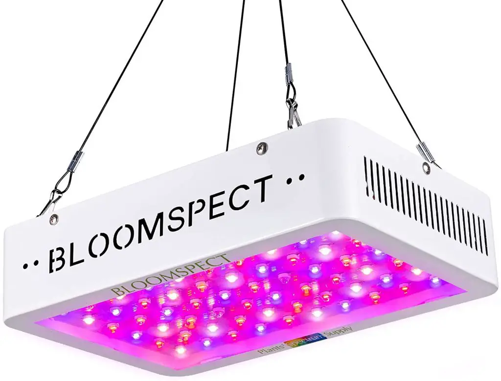 12 Best Light For Vegetative Growth in 2021 Marijuana Beginners