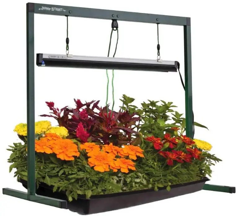 12 Best LED Grow Light Stands in 2021 Marijuana Beginners