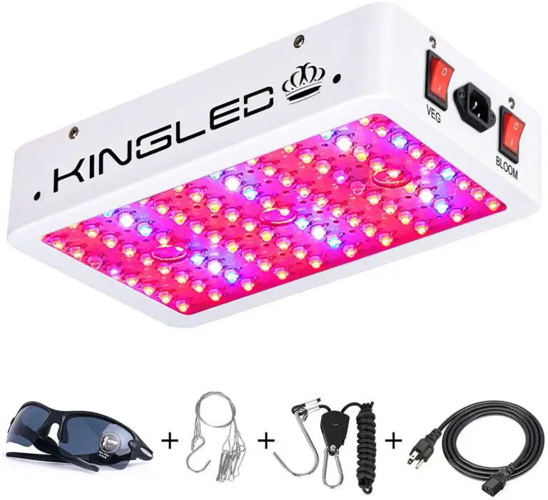 5 Best LED Light for 4x4 Grow Tent in 2024 Marijuana Beginners