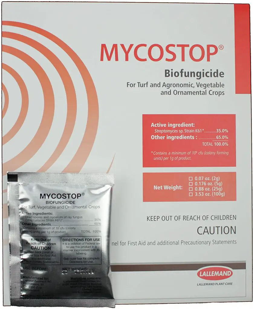 5 Best Plant Mold Killer in 2024 Marijuana Beginners