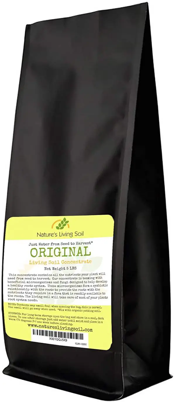 7 Best Soils For Growing Marijuana Indoors in 2024 Marijuana Beginners