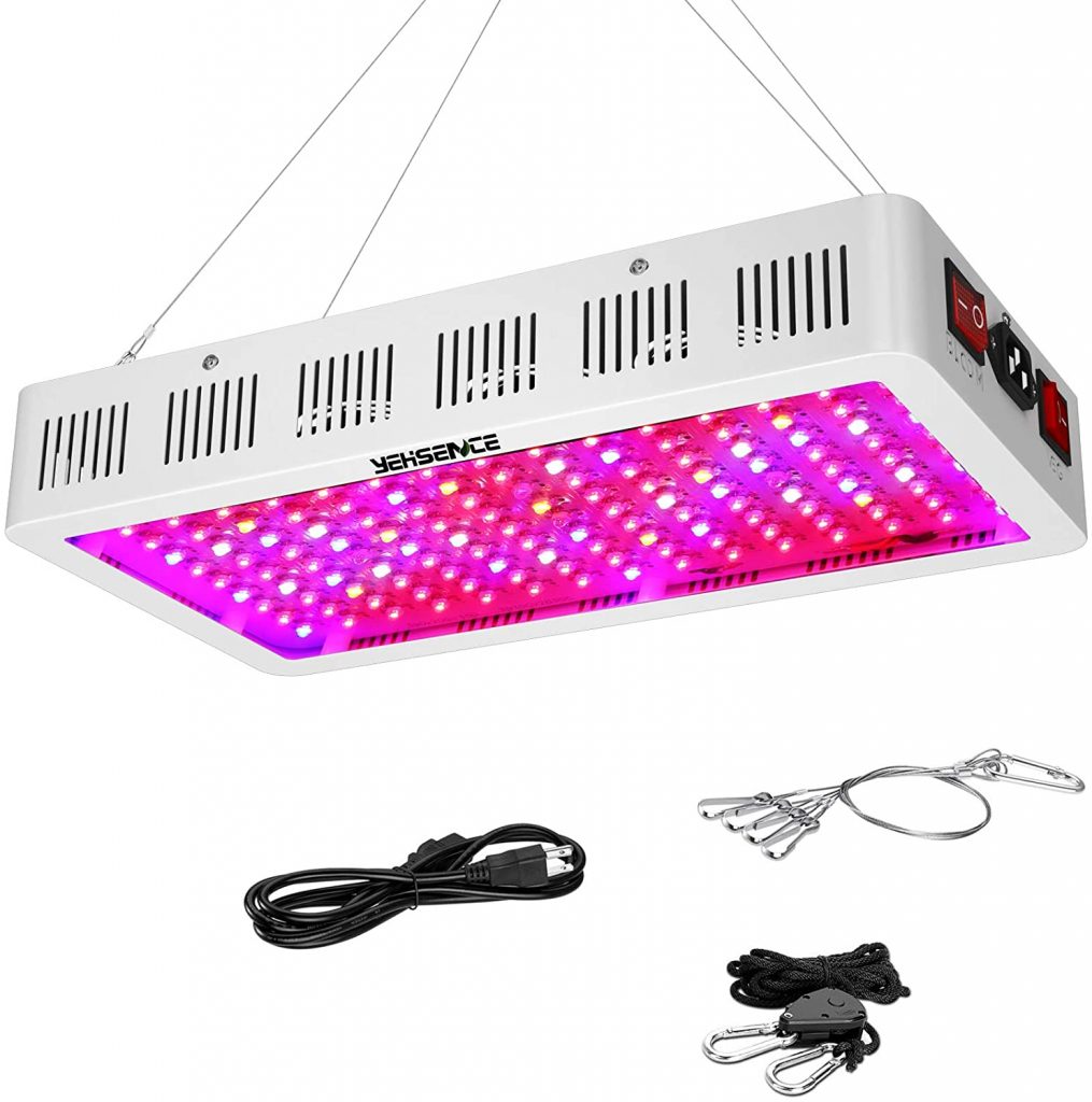 12 Best Light For Vegetative Growth in 2021 Marijuana Beginners