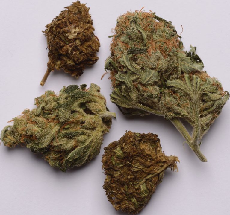 Brown Weed Strains Marijuana Beginners