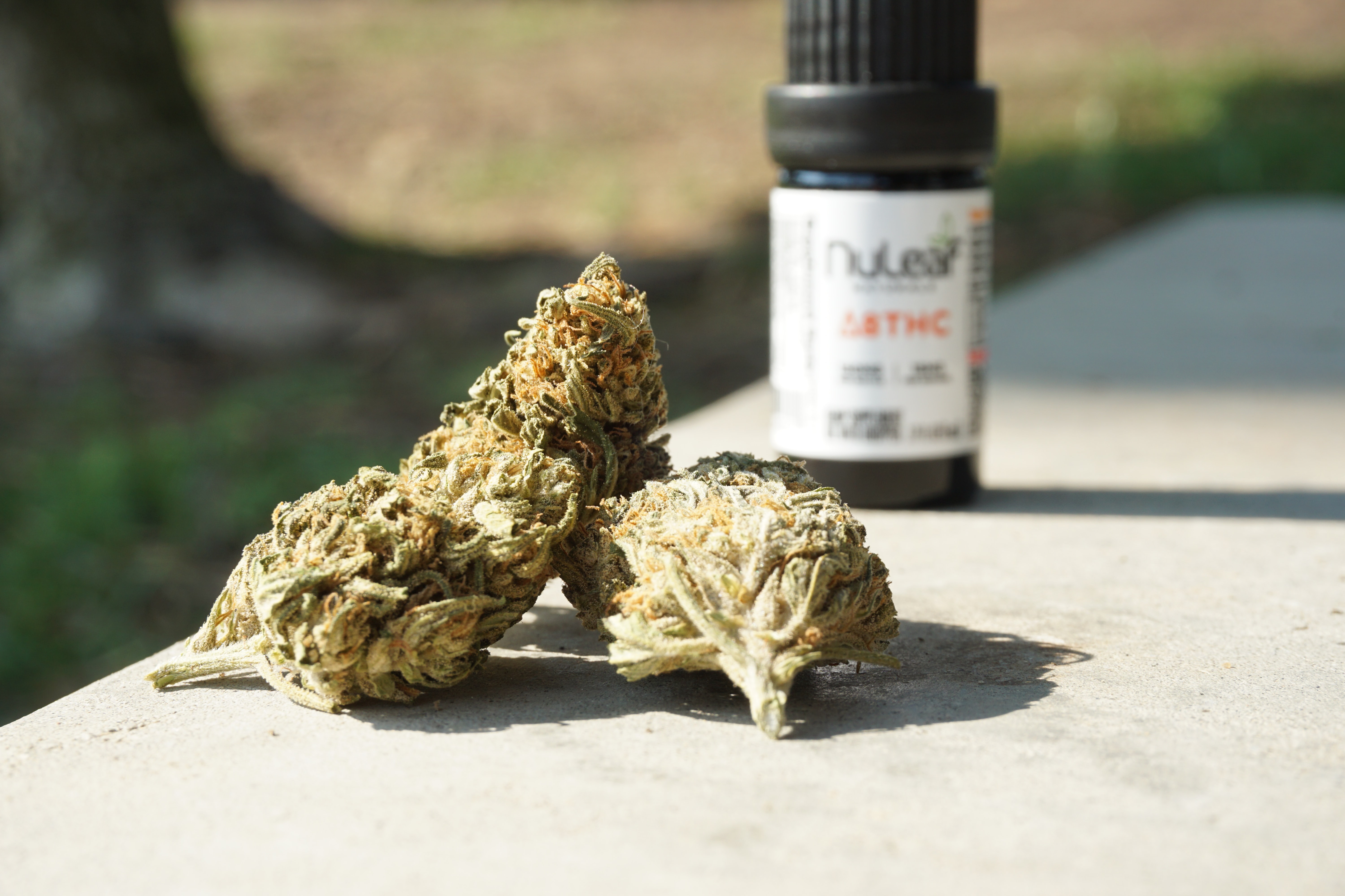 How Do You Make Thc Oil